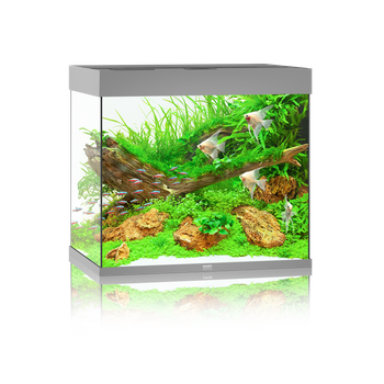 Akwarium Juwel Lido 200 LED szare