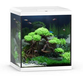 Akwarium Vio Cube 54 białe