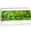 Akwarium Juwel Rio 240 LED białe