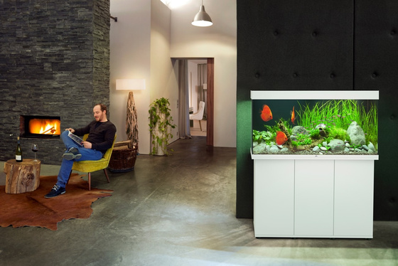 Akwarium Juwel Rio 350 LED białe