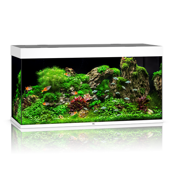 Akwarium Juwel Rio 350 LED białe