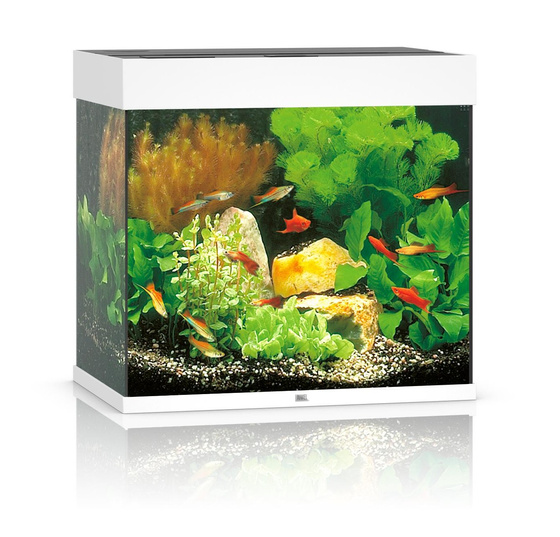 Akwarium Juwel Lido 120 LED białe