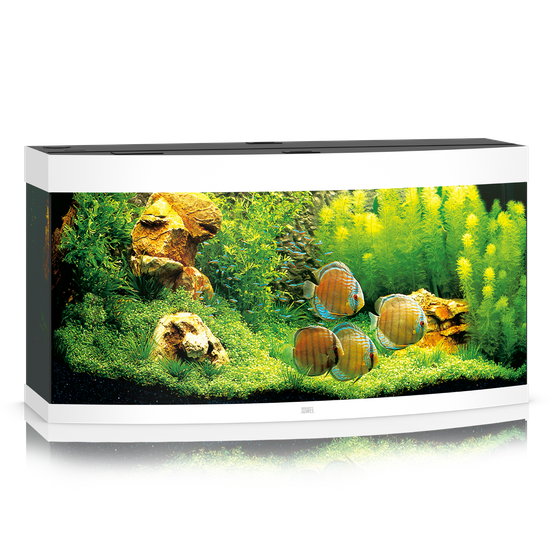Akwarium Juwel Vision 260 LED białe