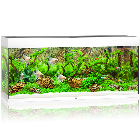 Akwarium Juwel Rio 240 LED białe