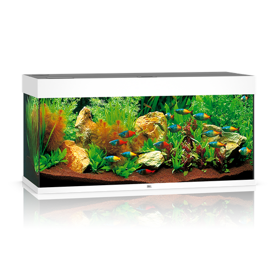 Akwarium Juwel Rio 180 LED białe
