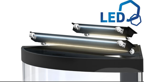 Akwarium Juwel Trigon 350 LED białe