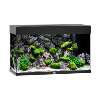 Akwarium Juwel Rio 125 czarne HeliaLux Spectrum