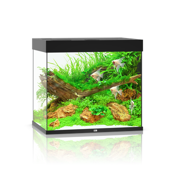 Akwarium Juwel Lido 200 LED czarne