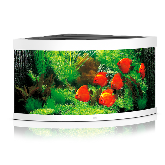 Akwarium Juwel Trigon 350 LED białe