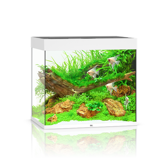 Akwarium Juwel Lido 200 LED białe