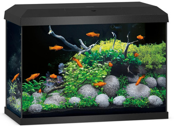 Akwarium Juwel Primo 70 LED 2.0 czarne