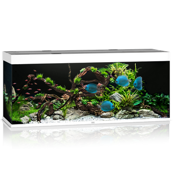 Akwarium Juwel Rio 450 białe HeliaLux Spectrum